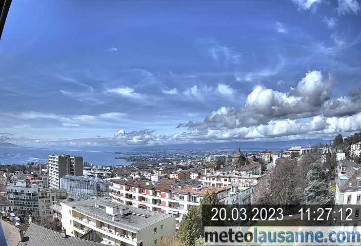 2023-03-20-1127.jpg