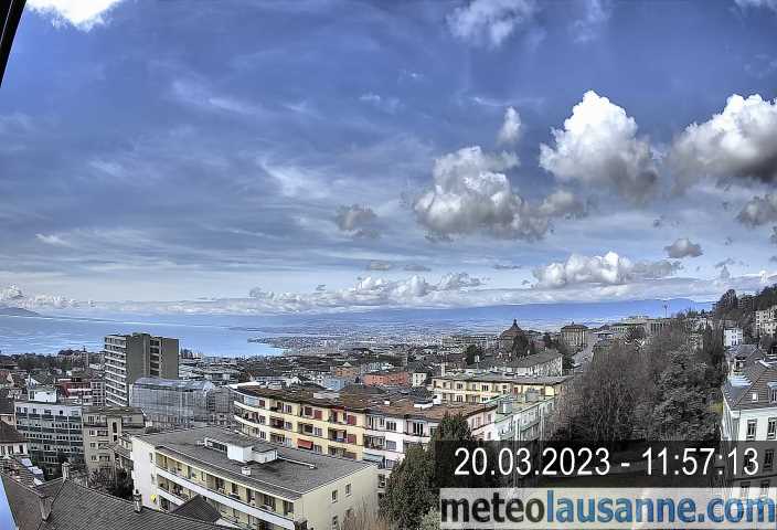 2023-03-20-1157.jpg